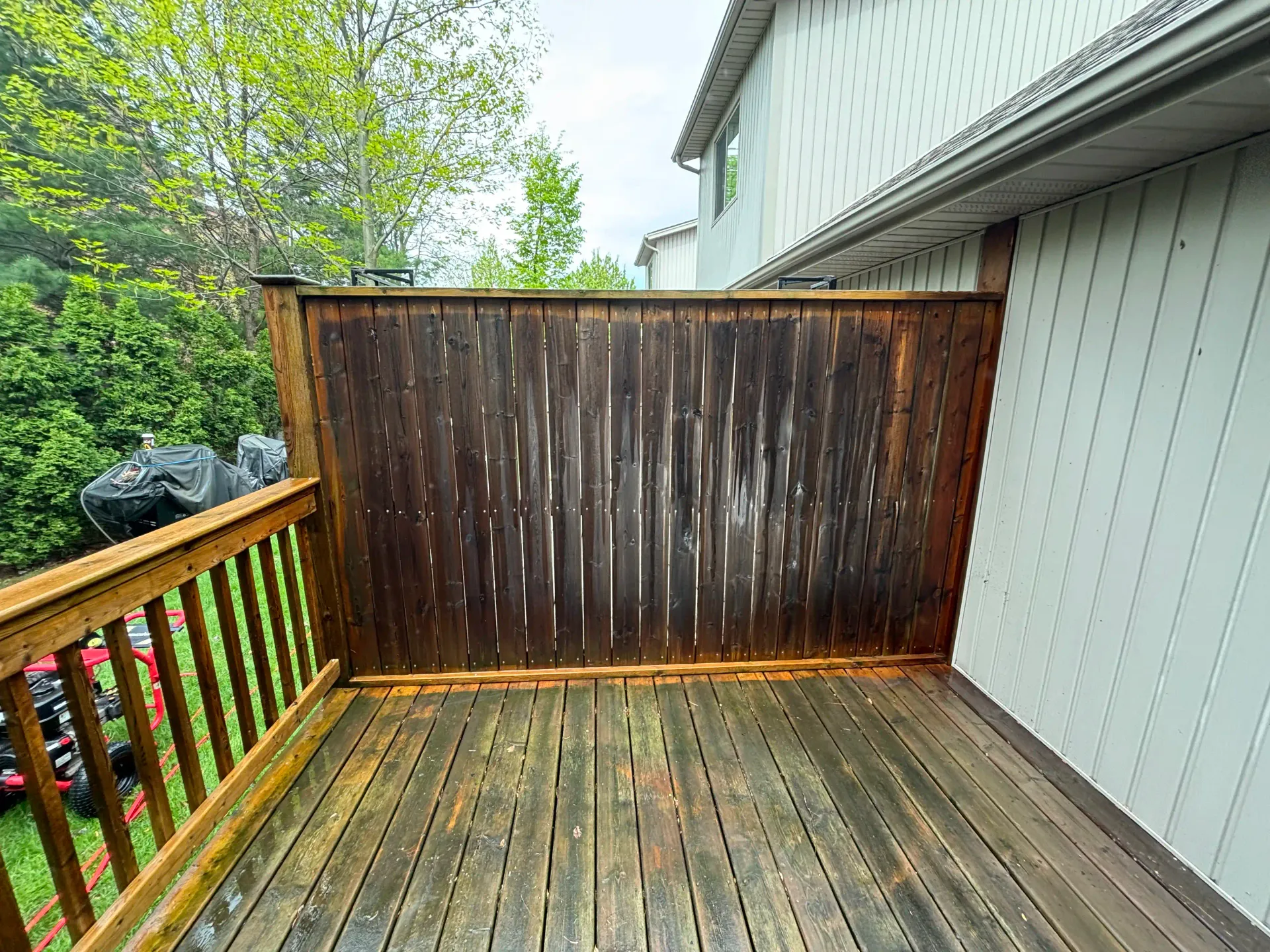 Fence Cleaning